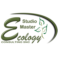 Studio Master
